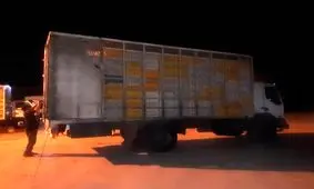 توقیف دو محموله مرغ زنده غیر مجاز در بیجار