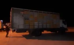 توقیف دو محموله مرغ زنده غیر مجاز در بیجار