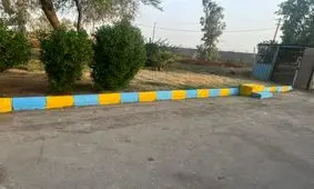 خط مکانیزه پاک کردن کله‌ پاچه دامی به زودی افتتاح می‌شود