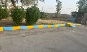 خط مکانیزه پاک کردن کله‌ پاچه دامی به زودی افتتاح می‌شود
