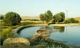 روستای تنبورسازی ایران کجاست؟ / ویدئو 