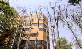 علت خشک شدن درختان خیابان ولیعصر تهران از نگاه یک نمایندهِ گیاه‌پزشک

