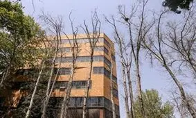 علت خشک شدن درختان خیابان ولیعصر تهران از نگاه یک نمایندهِ گیاه‌پزشک


