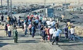 زندگی نباتی، اختلال مغزی و سوگواری ادامه‌دار