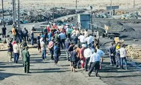 زندگی نباتی، اختلال مغزی و سوگواری ادامه‌دار