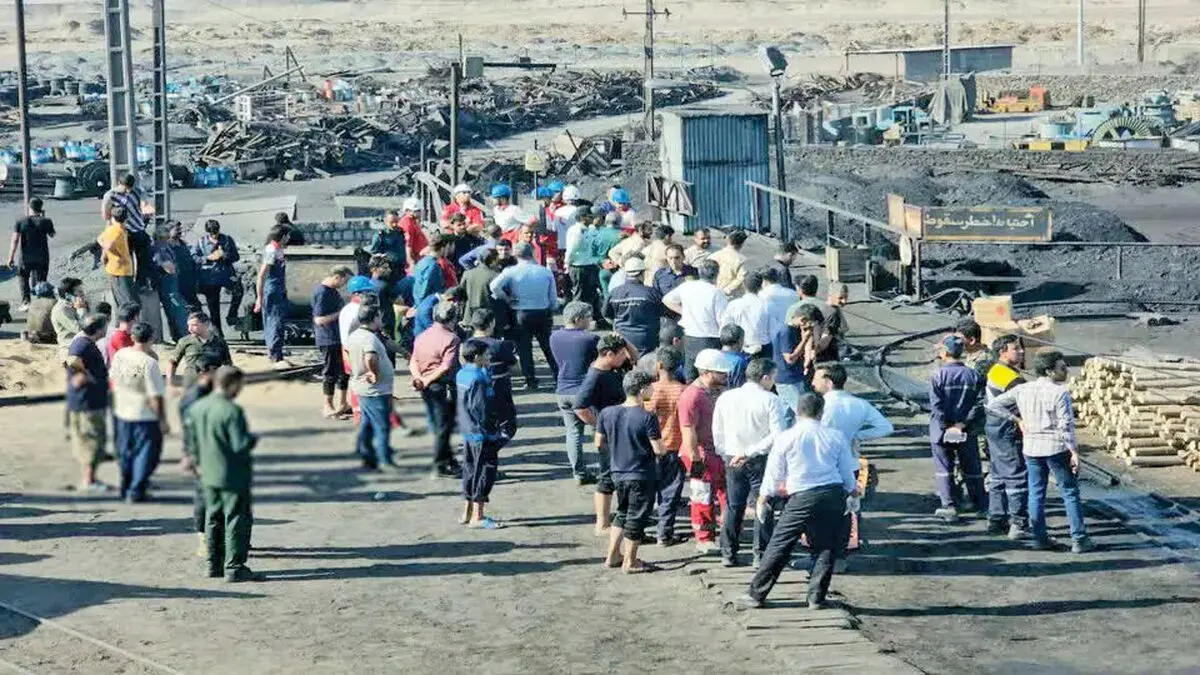 زندگی نباتی، اختلال مغزی و سوگواری ادامه‌دار