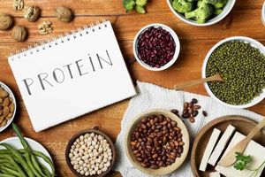 بهترین منابع پروتئین برای زنان بالای ۴۰ سال
