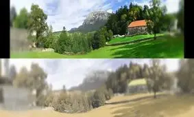 جهان از دید گربه ها چگونه است؟