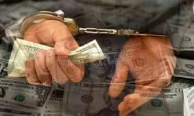 ۲۰ اخلالگر بازار ارز دستگیر شدند