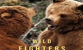 دوبله یک مستند حیات وحش برای تلویزیون