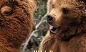 دوبله یک مستند حیات وحش برای تلویزیون
