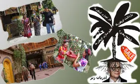 نگاهی به «چین شناس» محبوب غرب و دلیل استناد غربی‌ها به مطالعاتش درباره شین‌ جیانگ