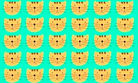 یکی از گربه ها با بقیه فرق دارد، پیدایش کن + پاسخ