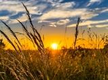 آغاز انقلاب تابستانی در نیمکره شمالی زمین