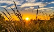 آغاز انقلاب تابستانی در نیمکره شمالی زمین