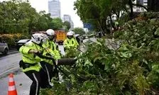 طوفان شدید در جنوب چین
