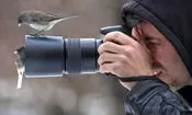 شاهکارهای عکاسی حیات وحش «از بالا»
