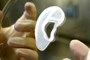 پیوند گوش چاپ 3 بعدی به انسان

