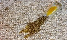 تمیز کردن لکه فرش با محلول خانگی