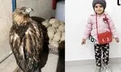  حمله عقاب به سلین کوچولو دختربچه کرمانشاهی/ ویدئو 