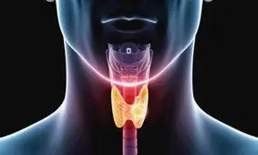 برخی خوراکی‌ ها صدای شما را زیبا می‌کند