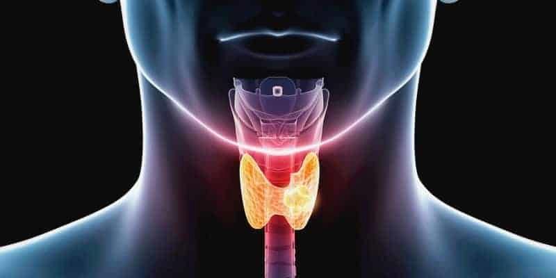 برخی خوراکی ها صدای شما را زیبا میکند