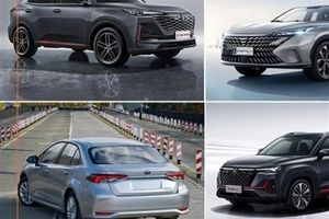توقف اجرای آیین‌نامه جدید واردات خودرو با دستور دیوان عدالت اداری