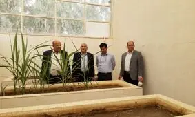 تولید دانش‌ بنیان، چراغ راه صنعت نیشکر است
