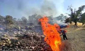 آتش سوزی مهیب در خائیز مهار شد