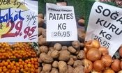 قیمت میوه در استانبول چند؟