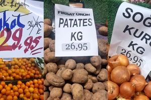 قیمت میوه در استانبول چند؟