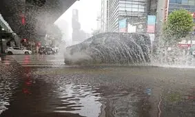 فقط یک متر با مرگ فاصله دارند/ ویدئو 