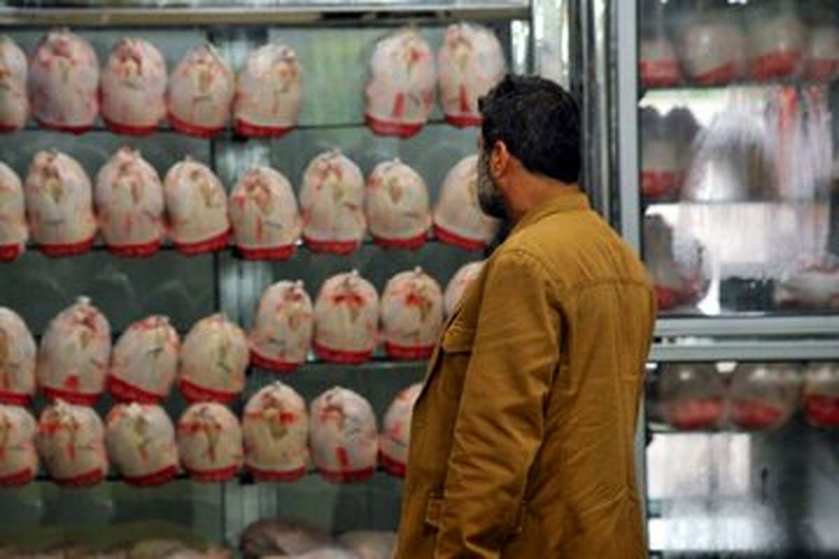 قیمت مرغ و گوشت همچنان بالا است