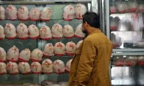 قیمت مصوب مرغ تغییر نکرده است/ با متخلفین برخورد خواهیم کرد