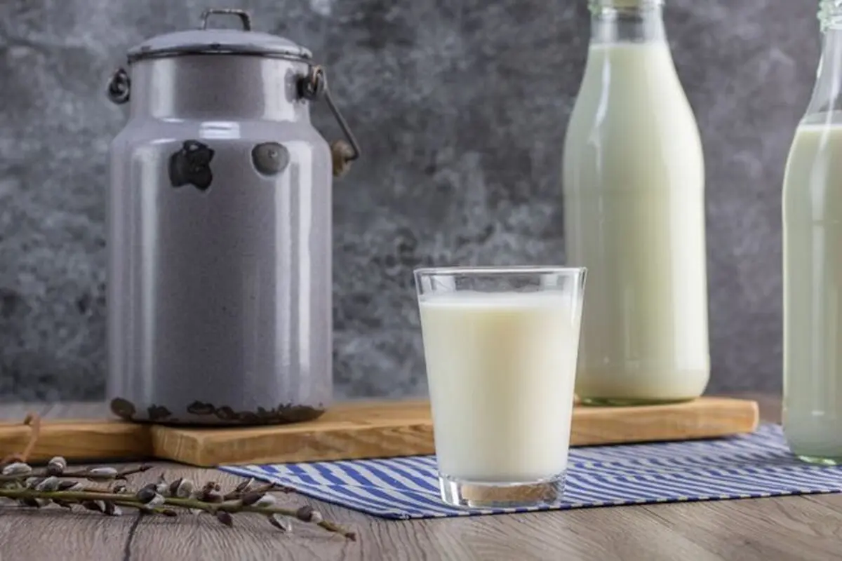 قیمت جدید شیرخام؛ چربی شیر شرط تعیین قیمت