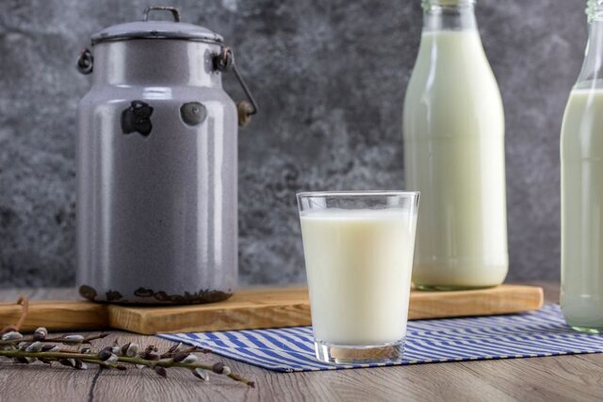  قیمت جدید شیرخام؛ چربی شیر شرط تعیین قیمت 