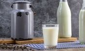 قیمت جدید شیرخام؛ چربی شیر شرط تعیین قیمت