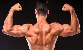 مسابقه غیر قانونی بدنسازی در تهران با سود میلیاردی/ مسئول برگزاری کیست؟