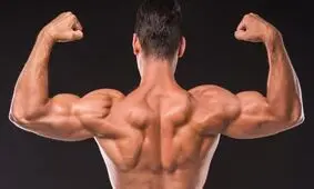مسابقه غیر قانونی بدنسازی در تهران با سود میلیاردی/ مسئول برگزاری کیست؟