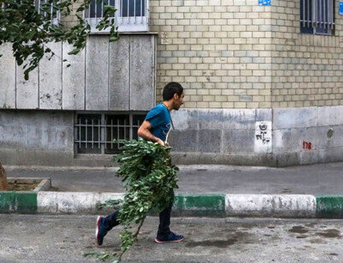  هشدار زرد رنگ فعالیت سامانه بارشی و وزش باد شدید در تهران 