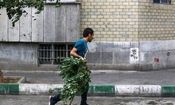 هشدار زرد رنگ فعالیت سامانه بارشی و وزش باد شدید در تهران

