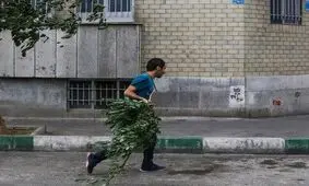 هشدار زرد رنگ فعالیت سامانه بارشی و وزش باد شدید در تهران

