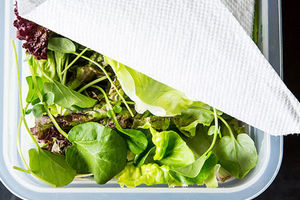 جلوگیری از کپک زدن سبزیجات