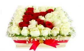 باکس گل حروف انگلیسی