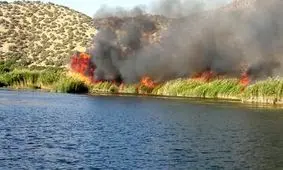 آتش سوزی نیزار‌های دریاچه زریبار مریوان/ ویدئو