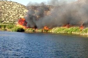 آتش سوزی نیزار‌های دریاچه زریبار مریوان/ ویدئو