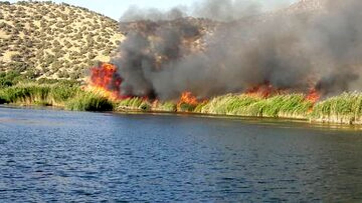 آتش سوزی نیزار‌های دریاچه زریبار مریوان/ ویدئو