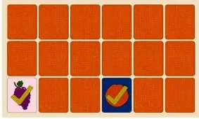 باید و نباید‌های نگهداری میوه ها و سبزیجات با یکدیگر