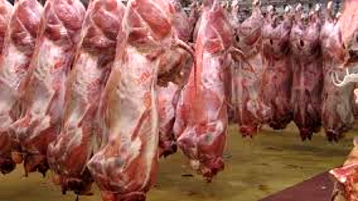عرضه انبوه دام در بازار طی هفتههای آتی