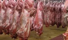 عرضه انبوه دام در بازار طی هفته‌های آتی

